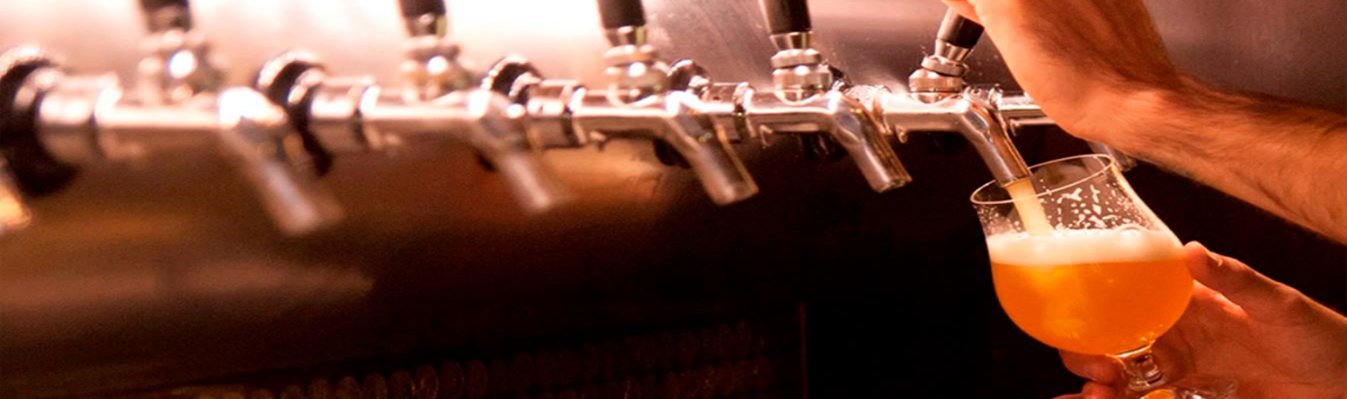 Di sản Bia Bỉ HCM